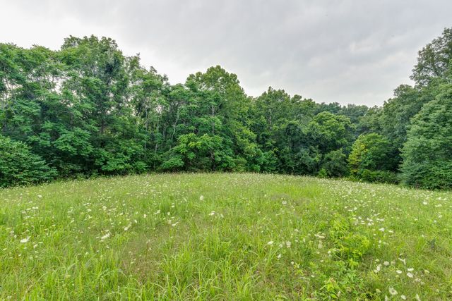 4664 New Cut Rd, Greenbrier, TN 37073