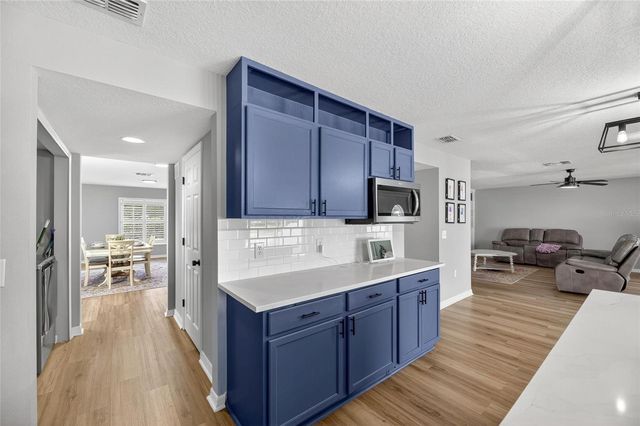 13531 MANGO BAY DRIVE, Riverview, FL 33579