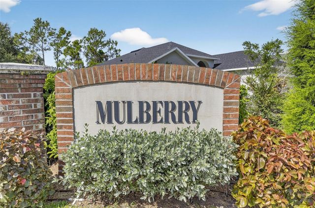 13531 MANGO BAY DRIVE, Riverview, FL 33579