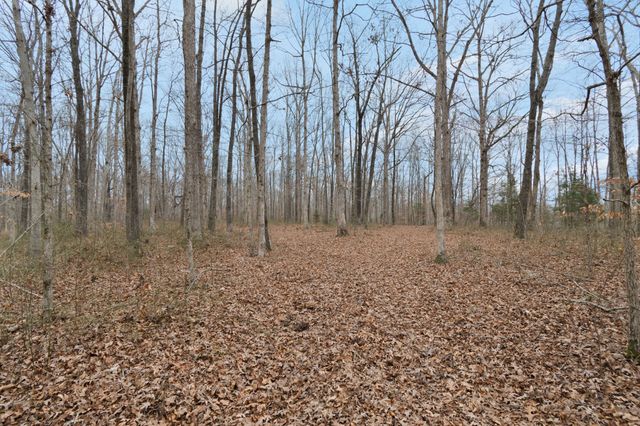 6000 Garrison Springs Rd, Franklin, TN 37064