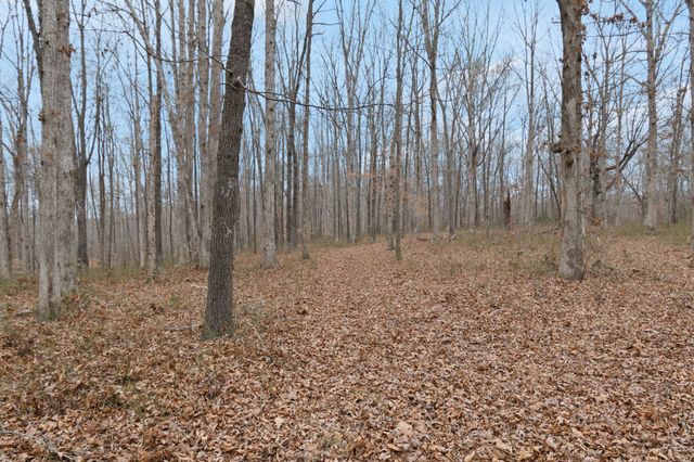 6000 Garrison Springs Rd, Franklin, TN 37064