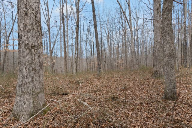 6000 Garrison Springs Rd, Franklin, TN 37064