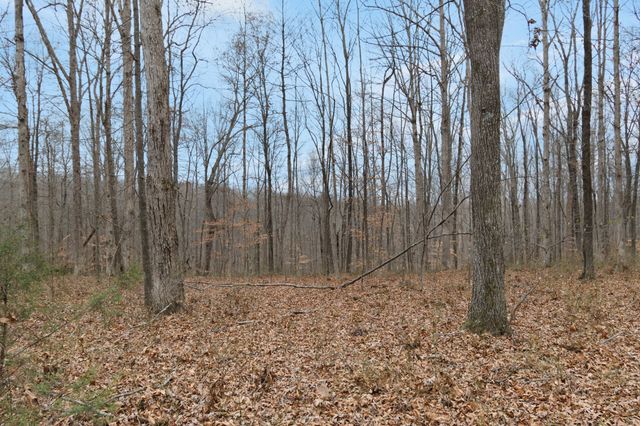 6000 Garrison Springs Rd, Franklin, TN 37064