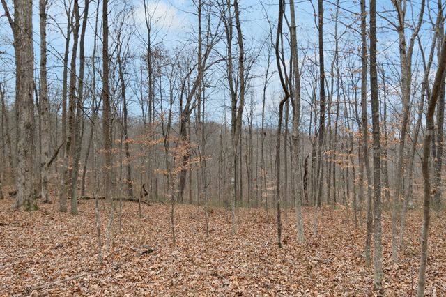 6000 Garrison Springs Rd, Franklin, TN 37064