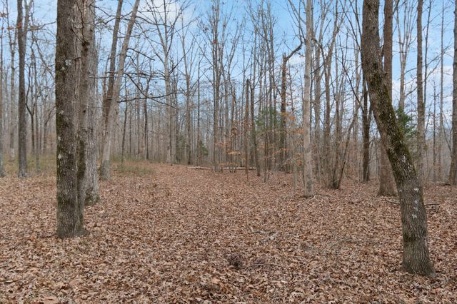 6000 Garrison Springs Rd, Franklin, TN 37064
