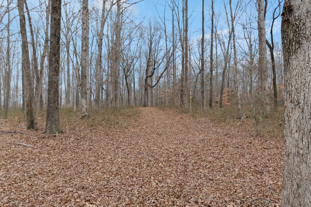 6000 Garrison Springs Rd, Franklin, TN 37064