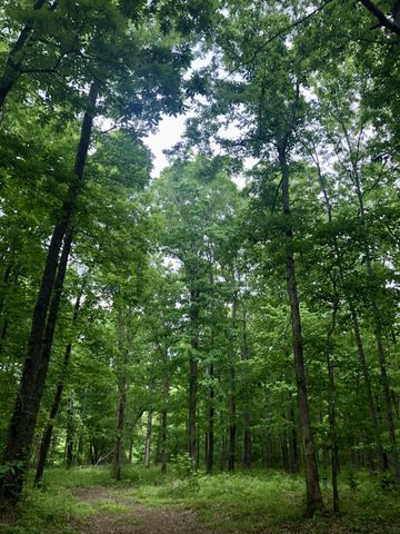 6000 Garrison Springs Rd, Franklin, TN 37064