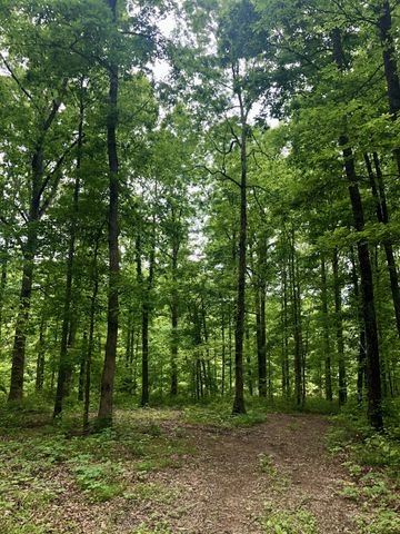 6000 Garrison Springs Rd, Franklin, TN 37064