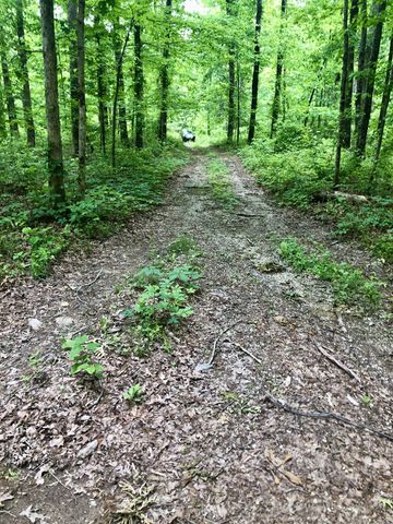 6000 Garrison Springs Rd, Franklin, TN 37064
