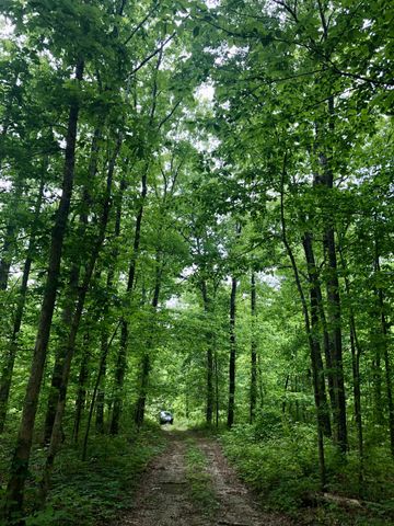 6000 Garrison Springs Rd, Franklin, TN 37064