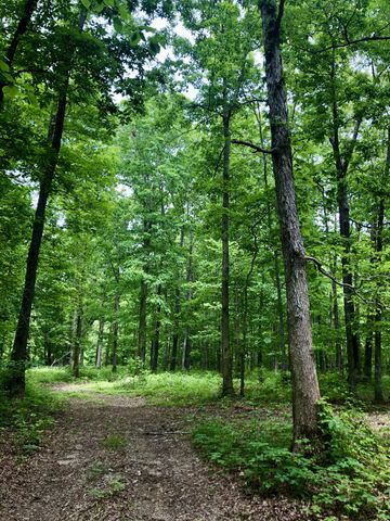 6000 Garrison Springs Rd, Franklin, TN 37064