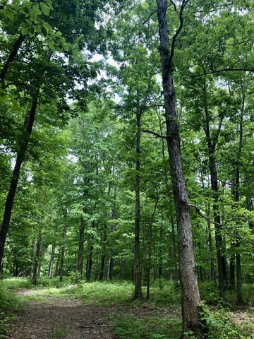 6000 Garrison Springs Rd, Franklin, TN 37064