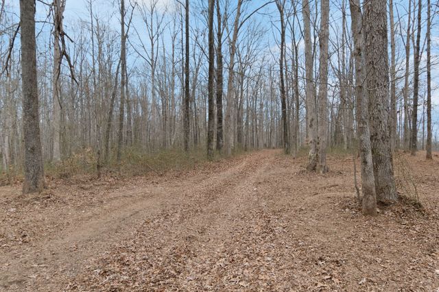 6000 Garrison Springs Rd, Franklin, TN 37064