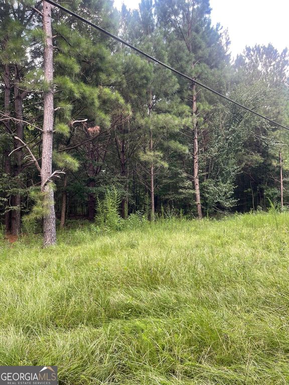 0 Main, Milner, GA 30257