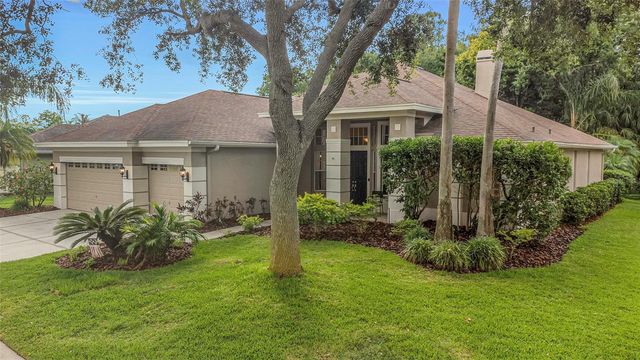 10326 MILLPORT DRIVE, Tampa, FL 33626