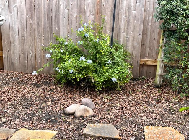 46 Summerhaze Circle, The Woodlands, TX 77382