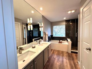 46 Summerhaze Circle, The Woodlands, TX 77382