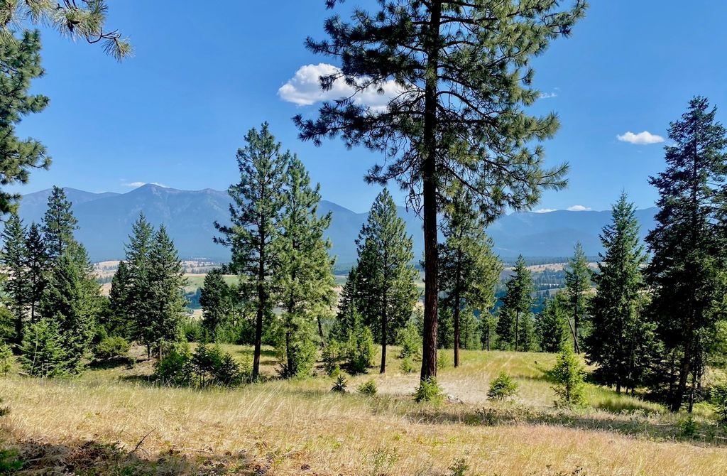 nhn Hillandale Trail, Eureka, MT 59917 photo 1