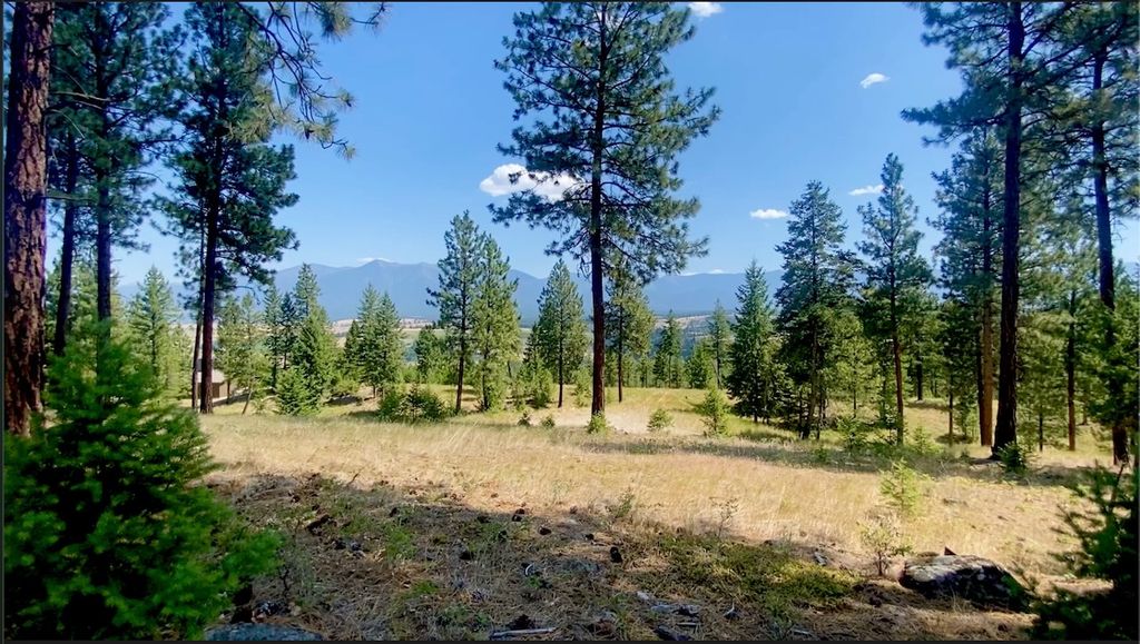 nhn Hillandale Trail, Eureka, MT 59917 photo 2