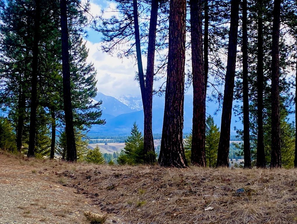 nhn Hillandale Trail, Eureka, MT 59917 photo 3