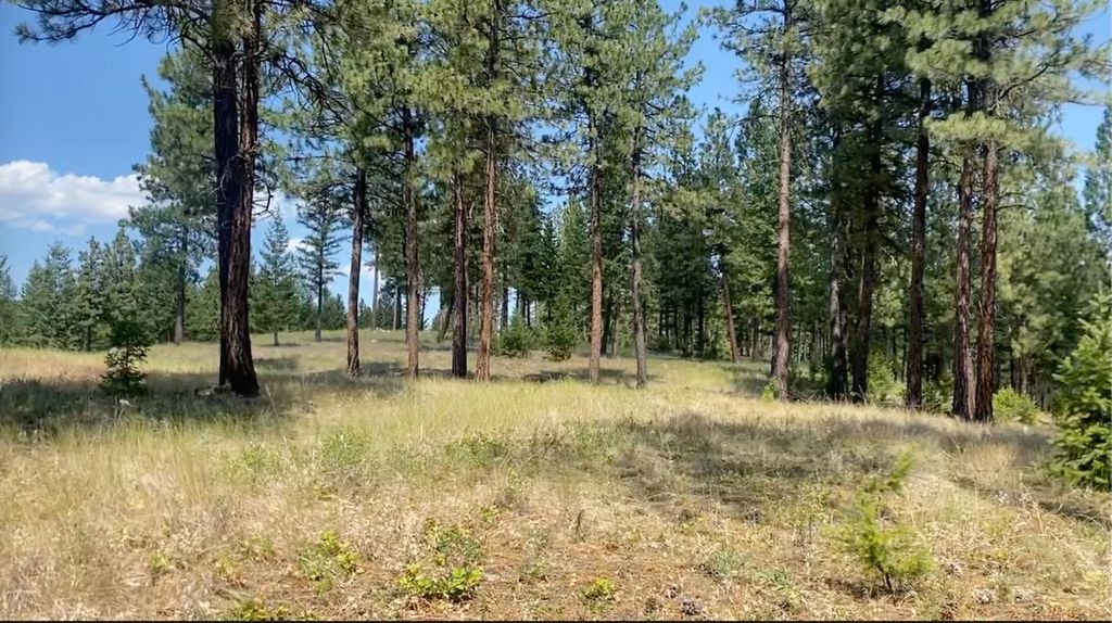 nhn Hillandale Trail, Eureka, MT 59917 photo 4