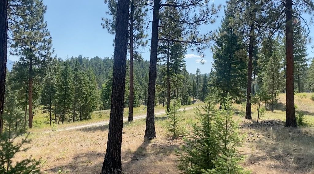 nhn Hillandale Trail, Eureka, MT 59917 photo 5