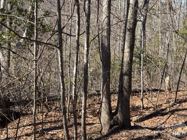 104 Smokehouse Way, Burnsville, NC 28714