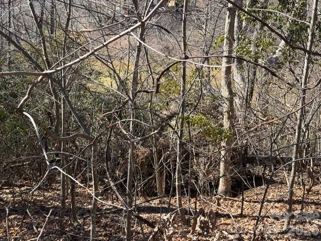 104 Smokehouse Way, Burnsville, NC 28714