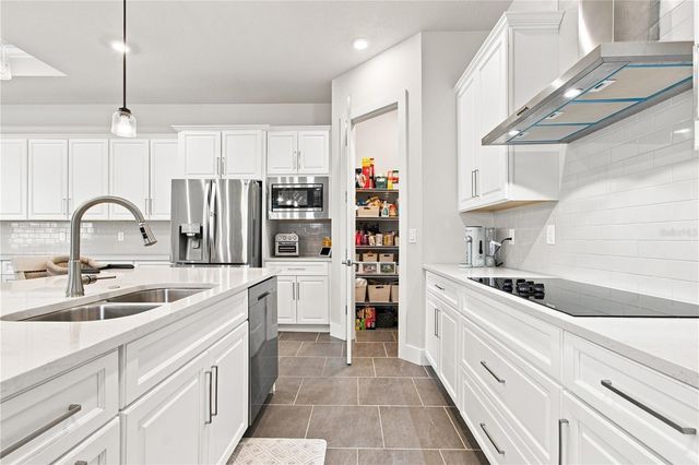 8699 IVY STARK BOULEVARD, Wesley Chapel, FL 33545