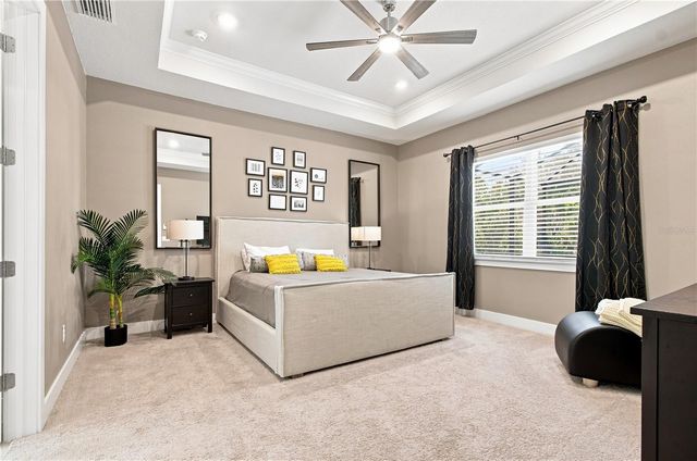 8699 IVY STARK BOULEVARD, Wesley Chapel, FL 33545