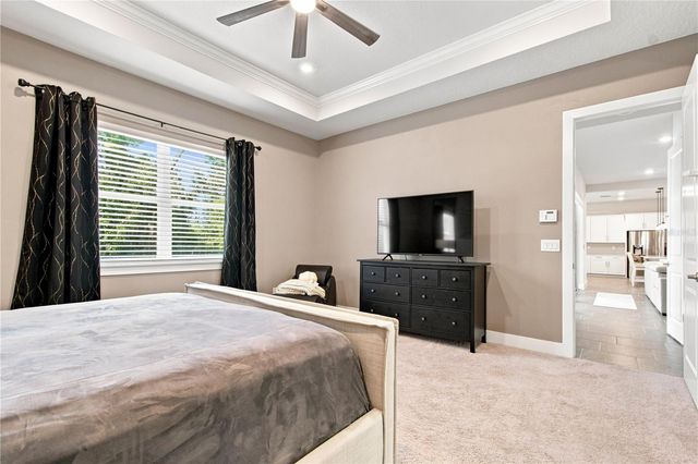 8699 IVY STARK BOULEVARD, Wesley Chapel, FL 33545