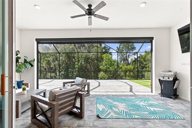 8699 IVY STARK BOULEVARD, Wesley Chapel, FL 33545