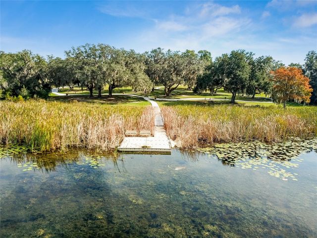 8699 IVY STARK BOULEVARD, Wesley Chapel, FL 33545
