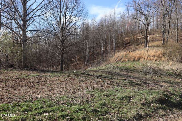 3849 Nealy Ridge, Clinchco, VA 24226