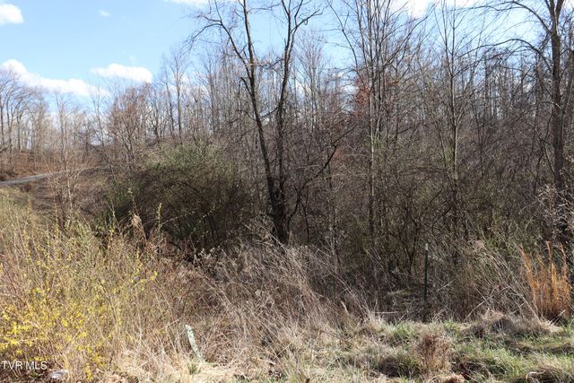 3849 Nealy Ridge, Clinchco, VA 24226