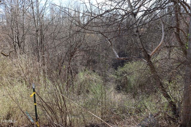 3849 Nealy Ridge, Clinchco, VA 24226