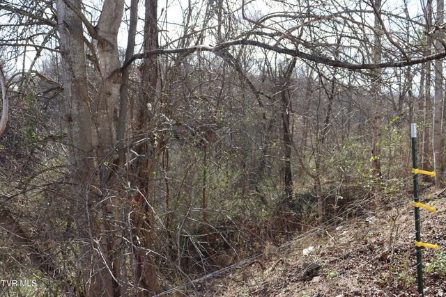 3849 Nealy Ridge, Clinchco, VA 24226