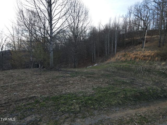 3849 Nealy Ridge, Clinchco, VA 24226