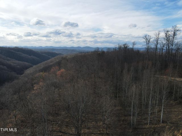 3849 Nealy Ridge, Clinchco, VA 24226