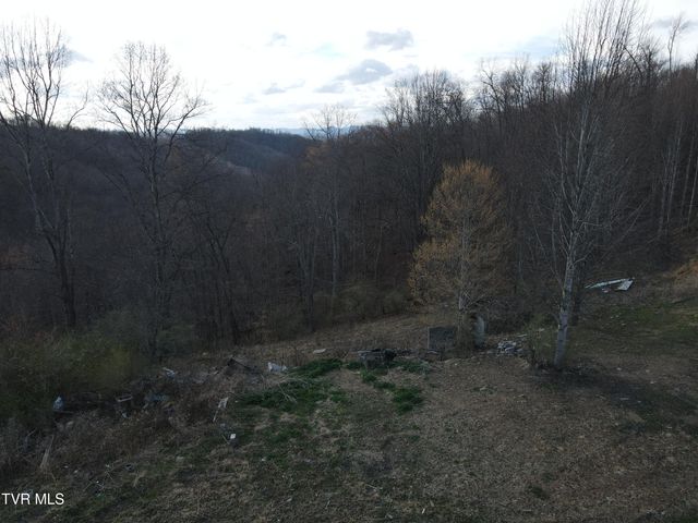 3849 Nealy Ridge, Clinchco, VA 24226