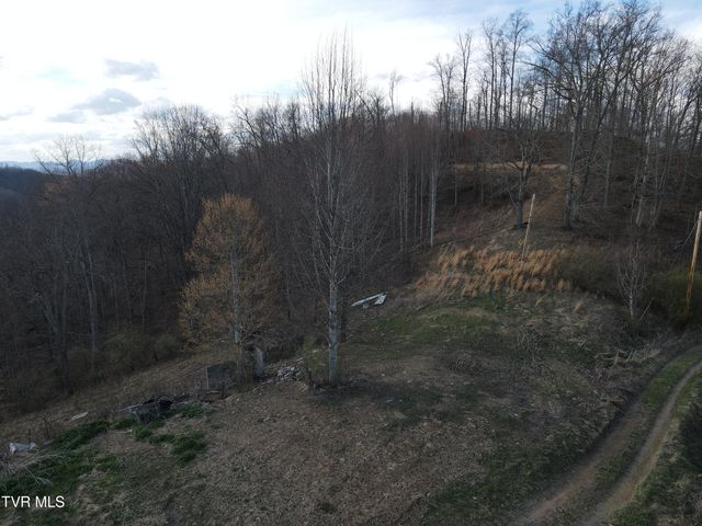 3849 Nealy Ridge, Clinchco, VA 24226