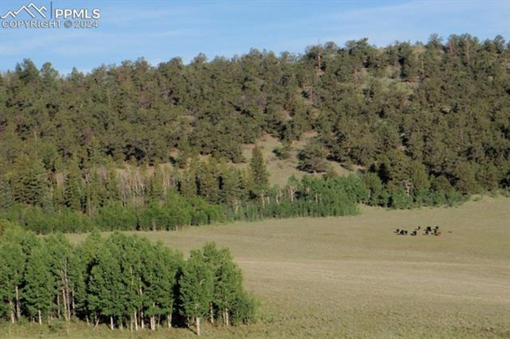 1185 County Road 734, Fairplay, CO 80440 — photo 2
