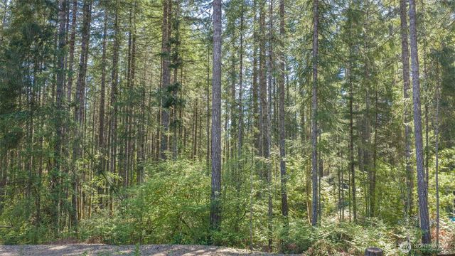 51 N Tebo Place, Hoodsport, WA 98548