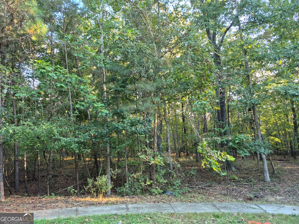 3407 Venice Court, Douglasville, GA 30135 — exterior
