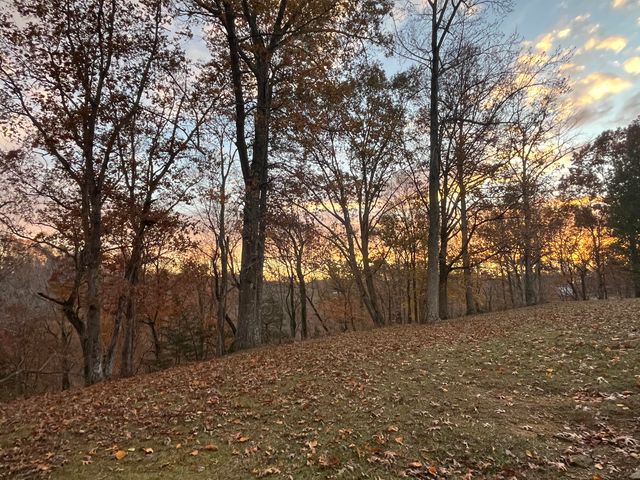 222 Stephens Point Road, Russell Springs, KY 42642