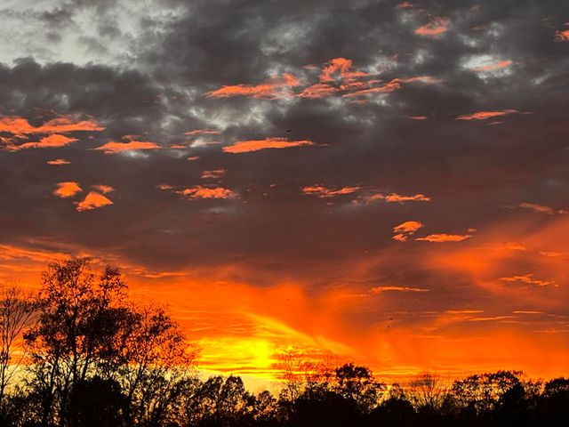 222 Stephens Point Road, Russell Springs, KY 42642