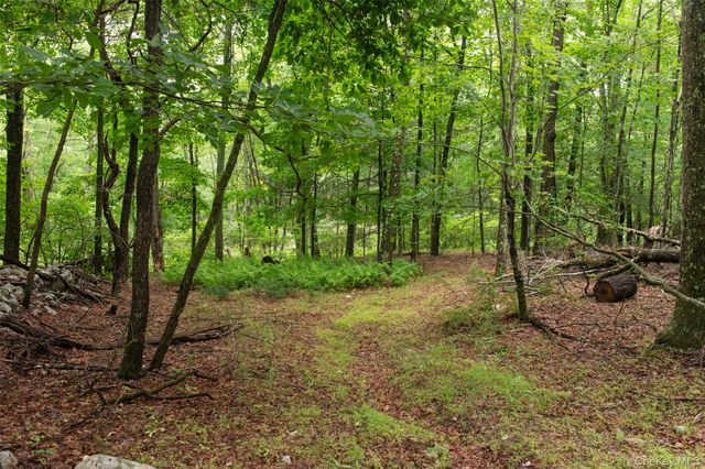 3789 State Route 52, Pine Bush, NY 12566