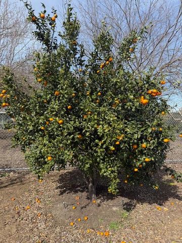 18413 Sycamore Ave, Patterson, CA 95363