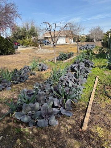 18413 Sycamore Ave, Patterson, CA 95363