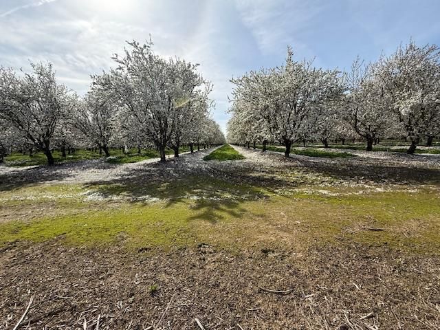 18413 Sycamore Ave, Patterson, CA 95363